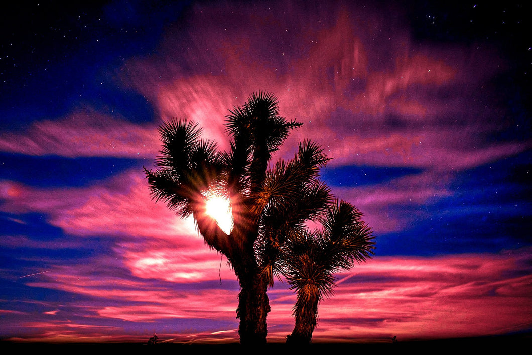 Moonrise over Joshua Tree (Color & BW) 5 x 7 / Colored Tracy McCrackin Photography GiclŽe - Tracy McCrackin Photography