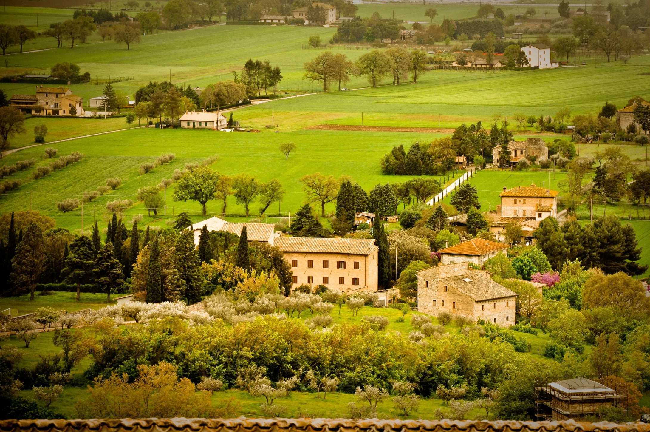 Italian Countryside: Tapestry of Tranquility Tracy McCrackin Photography Wall art - Tracy McCrackin Photography