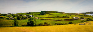 Irish Landscapes Panorama 5 x 7 / Colored Tracy McCrackin Photography GiclŽe - Tracy McCrackin Photography
