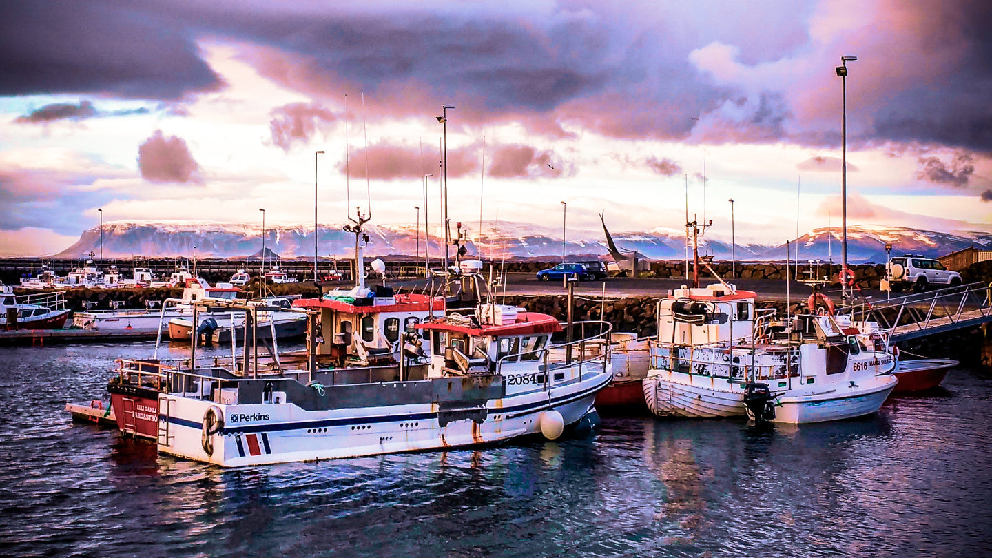 Jewel-toned Sunset Over Iceland's Harbor 5 x 7 / Colored Tracy McCrackin Photography GiclŽe - Tracy McCrackin Photography