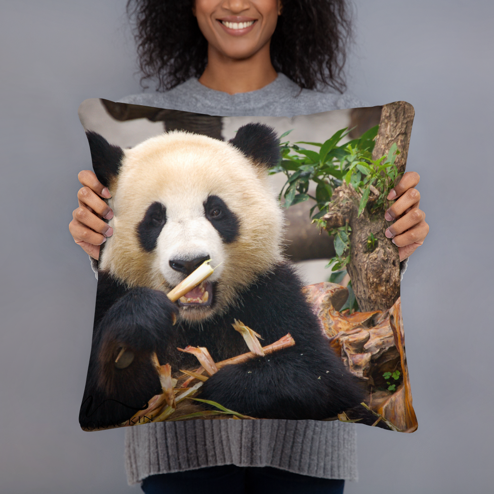 Adorable Panda Pillows Printful Home Decor - Tracy McCrackin Photography