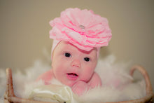 Load image into Gallery viewer, Baby with Pink Rose in a Basket Tracy McCrackin Photography - Tracy McCrackin Photography