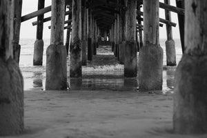Beach Pier in SoCal 5x7 / B&W Tracy McCrackin Photography GiclŽe - Tracy McCrackin Photography