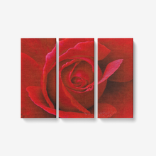 Load image into Gallery viewer, Red Rose- 3 panel wall art - Framed Ready to Hang 3x8&quot;x18&quot; Printy6 Wall art - Tracy McCrackin Photography