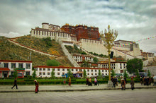 Load image into Gallery viewer, portola-palace-beacon-for-tibetans