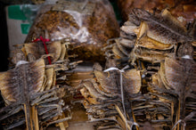 Load image into Gallery viewer, Dried Lizard to Eat in Chinese Street Market 5 x 7 / Colored Tracy McCrackin Photography - Tracy McCrackin Photography