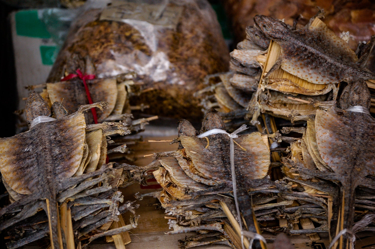 Dried Lizard to Eat in Chinese Street Market 5 x 7 / Colored Tracy McCrackin Photography - Tracy McCrackin Photography