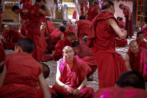 Buddhist Monk Debating 5 x 7 / Colored Tracy McCrackin Photography - Tracy McCrackin Photography