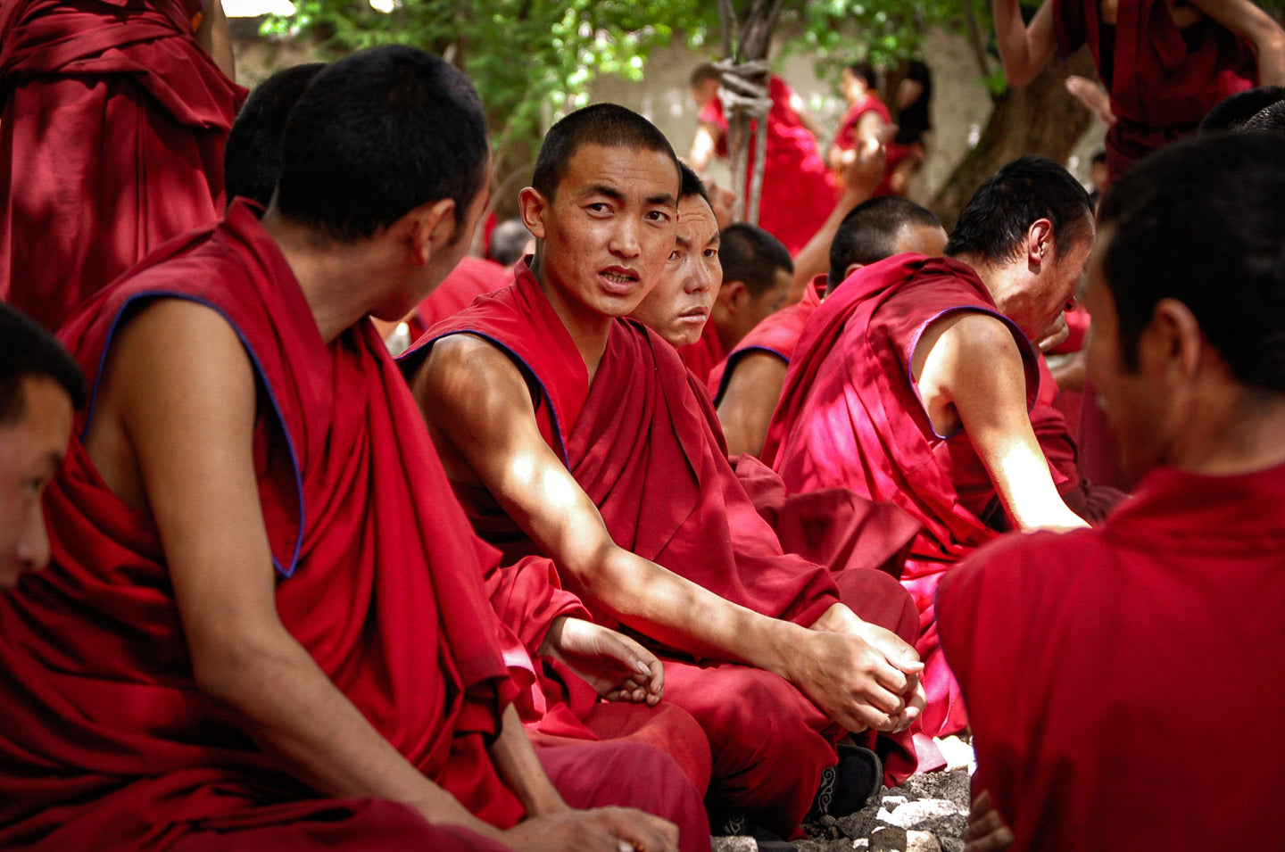 Discussing Philosophies at Sera Monastery 5 x 7 / Colored Tracy McCrackin Photography GiclŽe - Tracy McCrackin Photography