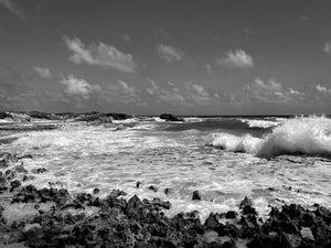 LifeÕs a beach, find your wave. Digital Download / B&W Tracy McCrackin Photography Arts & Entertainment - Tracy McCrackin Photography