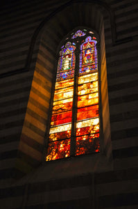 Cathedral Stainglass Window Tracy McCrackin Photography - Tracy McCrackin Photography