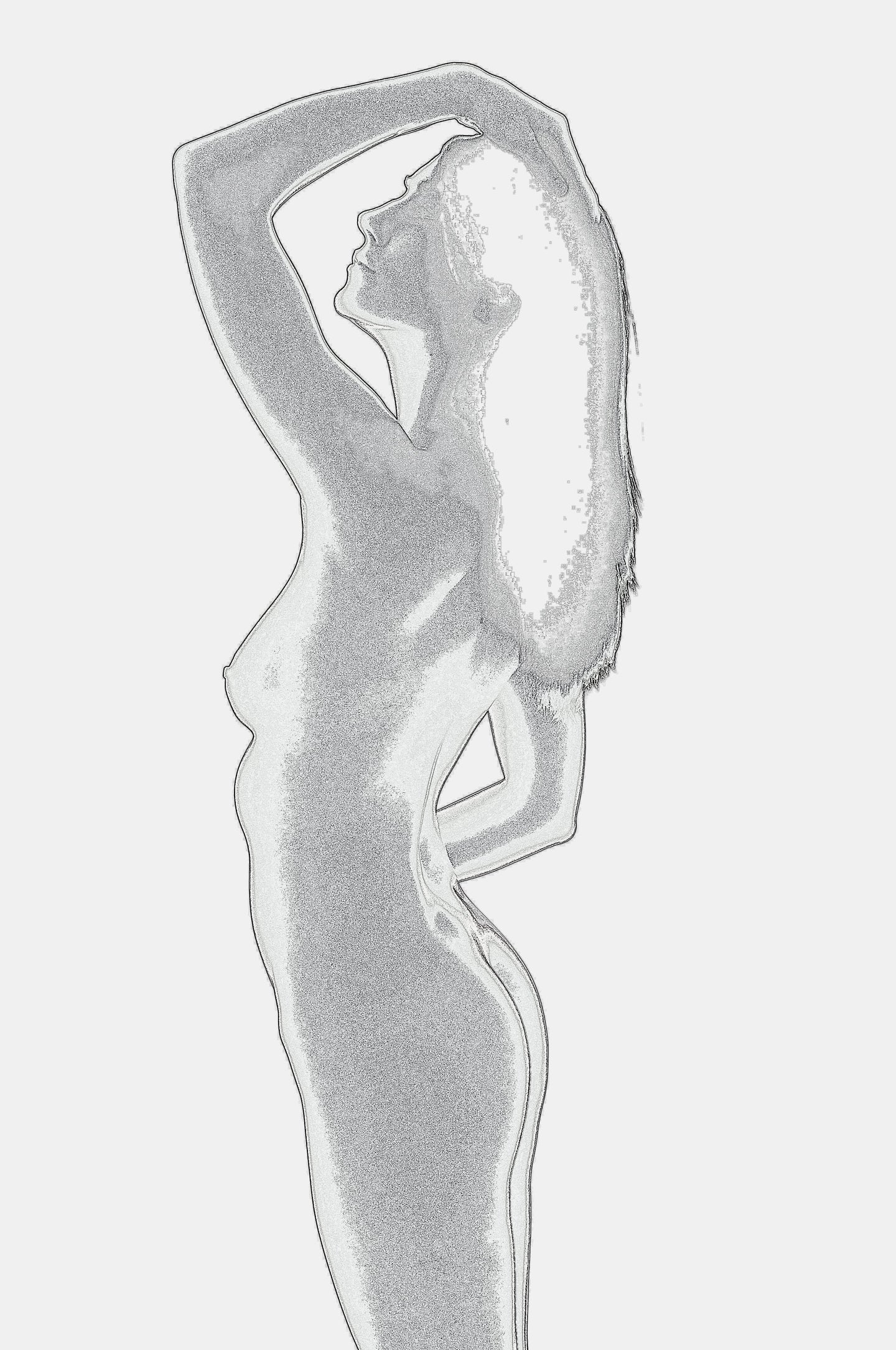 Pop Art Nude Silhouettes - Tracy McCrackin Photography