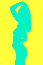 Load image into Gallery viewer, Pop Art Nude Silhouettes - Tracy McCrackin Photography