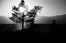 Load image into Gallery viewer, Lake Tahoe at Sunset 5 x 7 / B&amp;W Tracy McCrackin Photography GiclŽe - Tracy McCrackin Photography