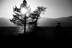 Lake Tahoe at Sunset 5 x 7 / B&W Tracy McCrackin Photography GiclŽe - Tracy McCrackin Photography